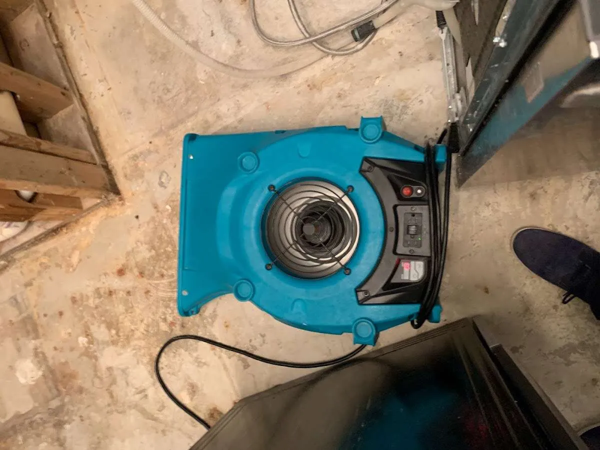 Air mover drying equipment for Mold Remediation & Removal in North Potomac
